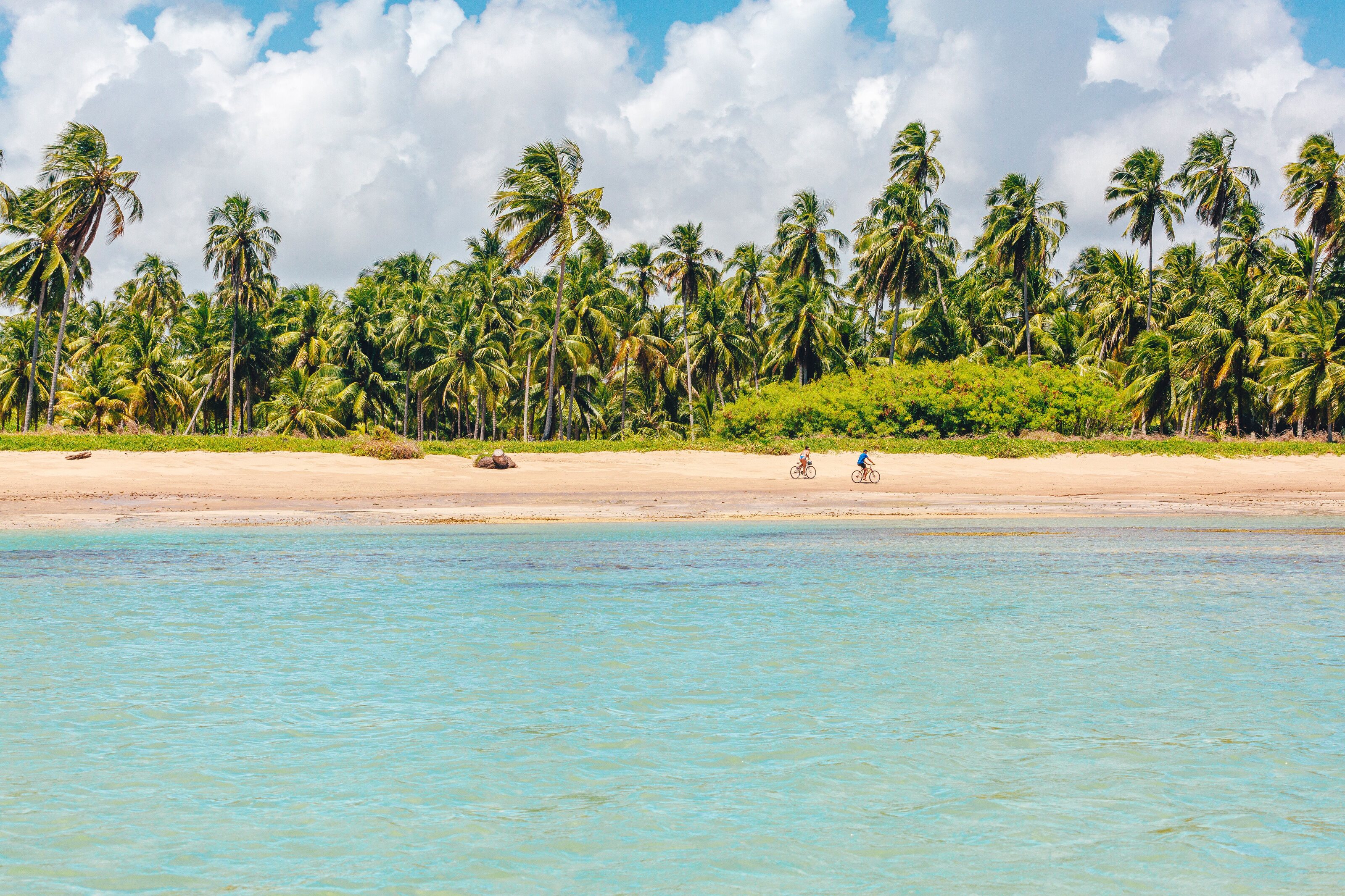 Praia, coqueiros e água na região da Palatéia.